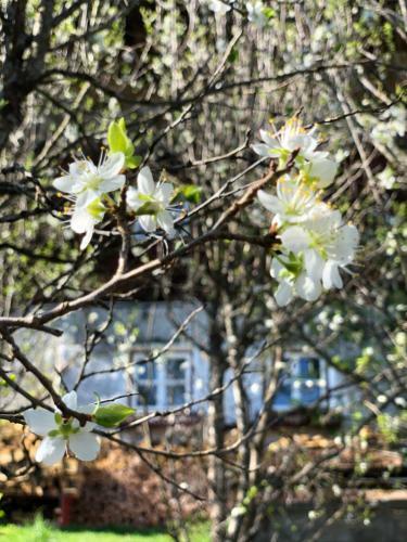 Agroturismo Achentaler Bauernh�usl