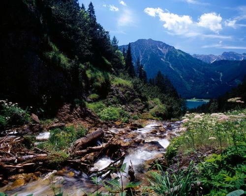 Superior Chalet Tiroler Madl