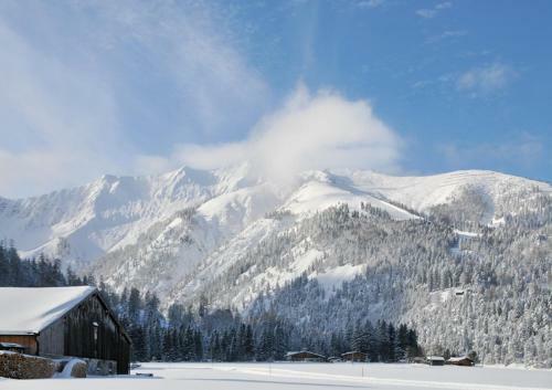 Apartamento Tonis Appartements Am Achensee