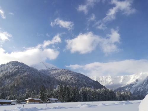 Apartamento Ferienwohnung Hinterwinkl