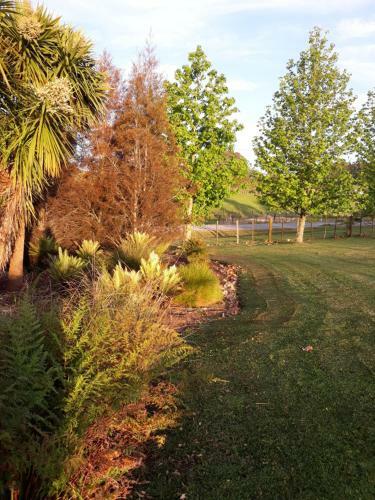 Bed & Breakfast Rural Palms