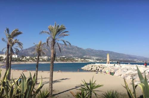 Great Located Apartment In Puerto Banus Harbour