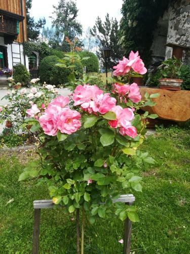 Bed & Breakfast M�hlnerhof Familie Gruber