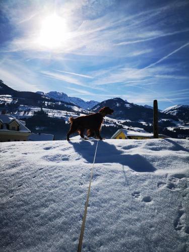 Apartamento Schneekristall