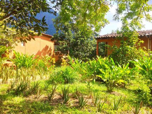 Lodge Hagia Sofia, Living In Botanical Garden