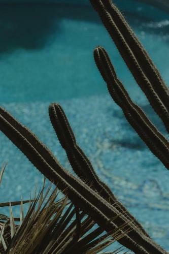 Bed & Breakfast Nonna's Boutique Hotel