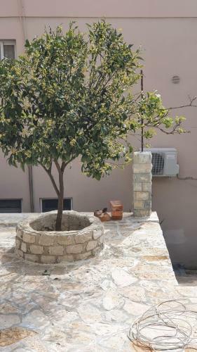 Apartamento Emilios Traditional Home