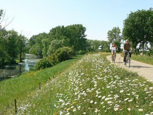 Camping De Binnenvaart Superior Chalet