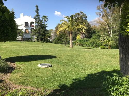 Apartamento Medina Penthouse