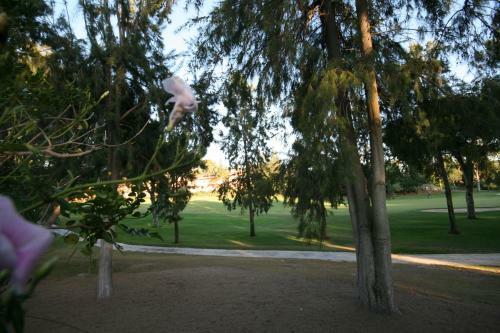 Apartamento Greenlife Village