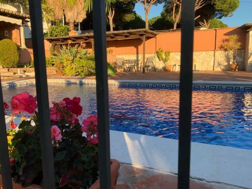 Exclusive Andalusian Villa El Pino In Cabopino