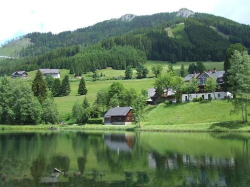 Alm Chalet Hohentauern I