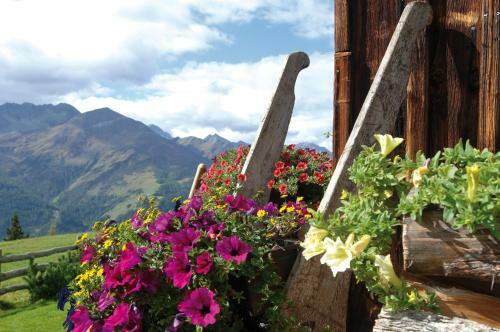 Apartamento Appartements Obergollerhof