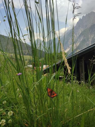 Apartamento Appartements Obergollerhof