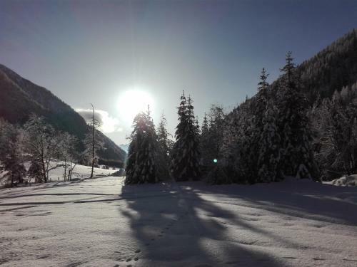 Bed & Breakfast Haus Pinter