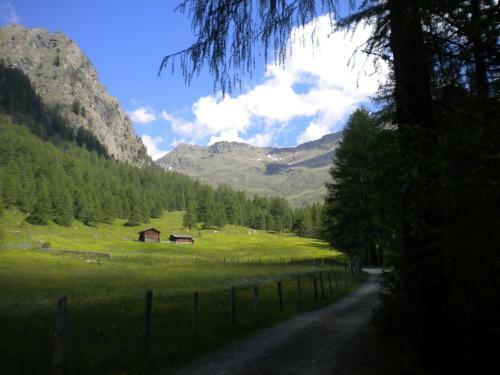 Bed & Breakfast Haus Pinter