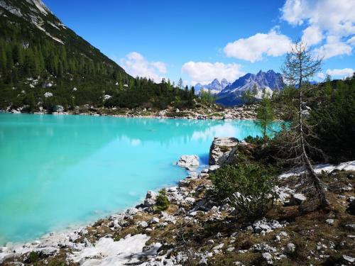 Bed & Breakfast Haus Pinter