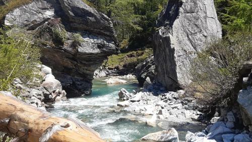 Bed & Breakfast Haus Pinter