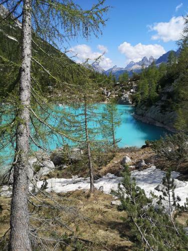 Bed & Breakfast Haus Pinter