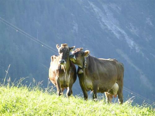 Hostal Pension Oberm�hle