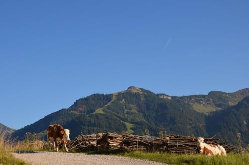 Apartamento Haus Peterlunger