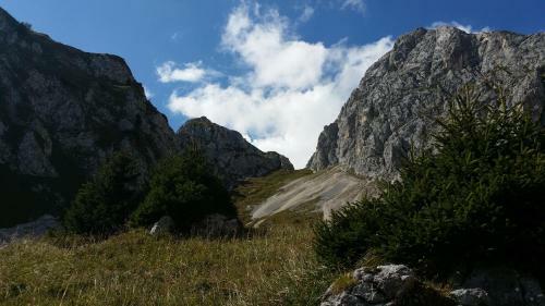Hostal Gasthof - Pension Enzian