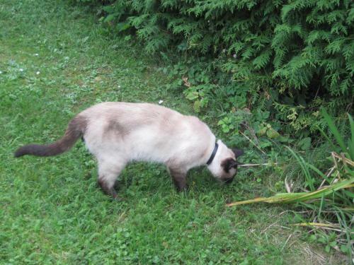 Apartamento Ferienhaus Maier