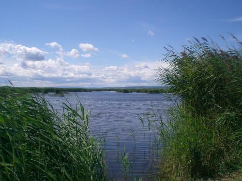 Apartamento Ferienwohnungen Feldsee