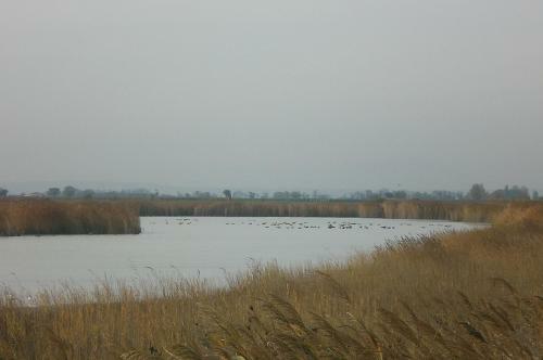 Apartamento Ferienwohnungen Feldsee