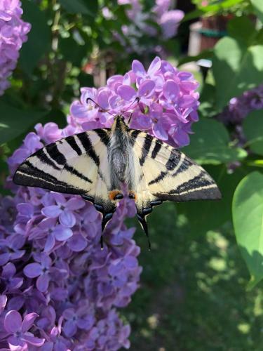 Apartamento Ferienwohnungen Feldsee