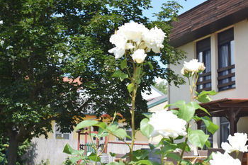 Hostal Wohlf�hlpension Illmitzerhof
