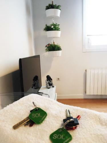Apartamento Atico En Puerta Del Sol