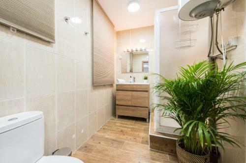 Grand Apartment La Latina