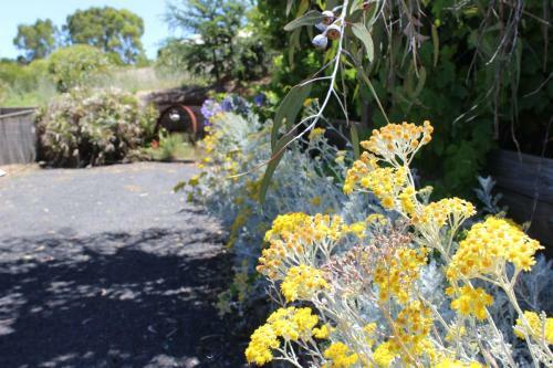Yvonnes Rest Holiday Home