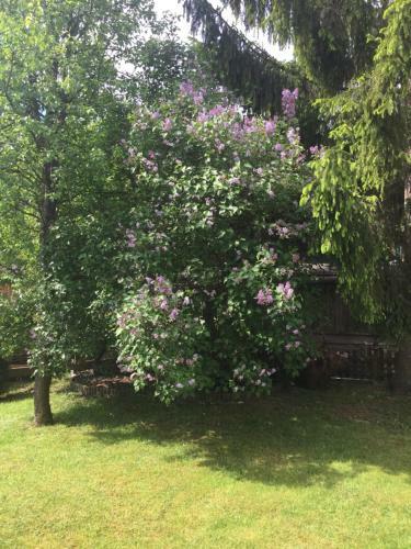 Apartamento Haus Alpenrose