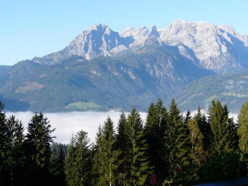 Apartamento Appartement Samerhof