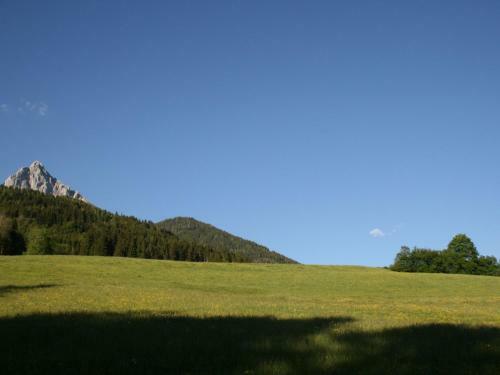 Holiday Home Haus Im Wald Pfarrwerfen