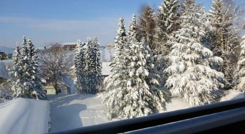 Hotel Berghof Graml