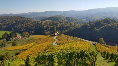 Apartamento Winzerhotel Wurzenberg S�dsteiermark