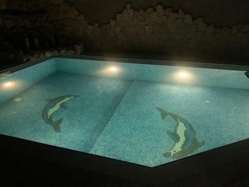 Luxury Villa With Pool And Waterfall