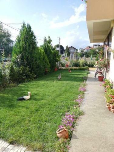 Hostal Guest House Aheloy 2020