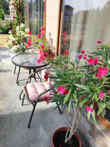 Hostal Guest House Aheloy 2020