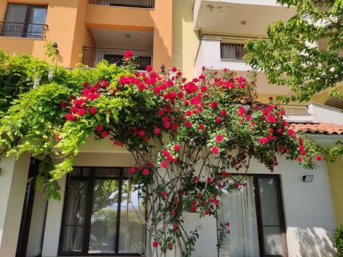 Apartamento Marina Cape Morie