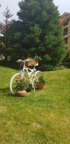 Apartamento Marina Cape Sea View