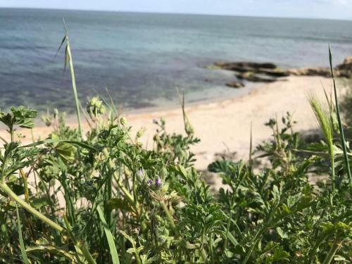 Apartamento Black Sea Wellnest