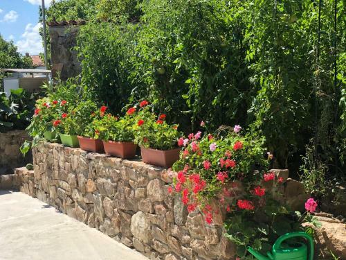 Hostal The Greek House