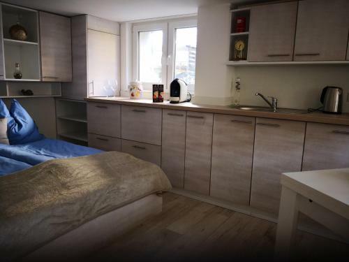 Apartamento Rheintal Zentrum