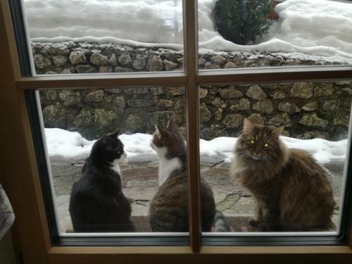 Apartamento Zur Alten Schlosserei