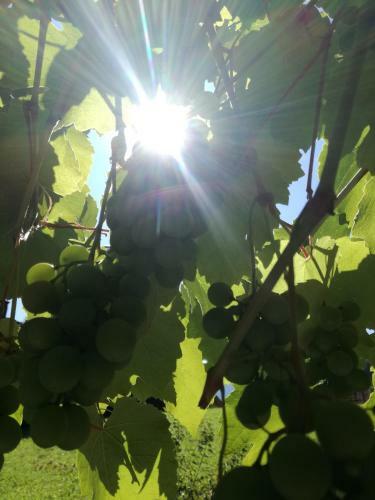 Apartamento Zur Alten Schlosserei