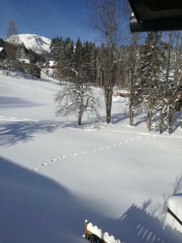 Apartamento Zur Alten Schlosserei